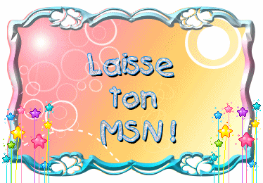 LAISSE TON MSN